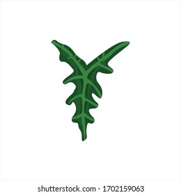 Botanical leaf clip art natural illustration