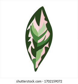 Botanical leaf clip art natural illustration