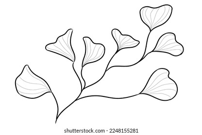 Botanical leaf design with black and white line art isolated on a white background for your graphic design, black and white abstract background design with Botanical leaf, vector art illustration