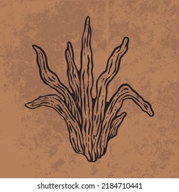 Dibujo gráfico de la línea de flores silvestres del doodle de la hoja botánica. Dibujo de la ilustración del vector dibujado a mano.
Esquema floral vintage. Adecuado para papel de pared, póster, pegatina,
medios sociales de contenido

