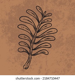 Dibujo gráfico de la línea de flores silvestres del doodle de la hoja botánica. Dibujo de la ilustración del vector dibujado a mano.
Esquema floral vintage. Adecuado para papel de pared, póster, pegatina,
medios sociales de contenido
