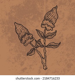 Botanical leaf doodle wildflower line art. Hand drawn vector illustration.
Vintage floral outline. Suitable for wallpaper, poster, sticker,
content social media