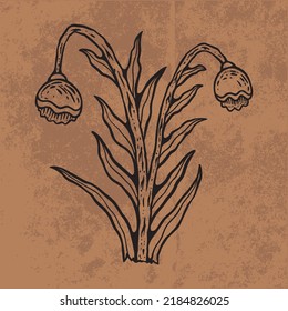 Botanical leaf doodle wildflower line art. Hand drawn vector illustration.
Vintage floral outline. Suitable for wallpaper, poster, sticker,
content social media