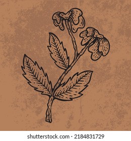 Botanische Blattdoodle-Blumenzeilenkunst. Handgezeichnete Vektorgrafik.
Vintage-Blumenumriss. Geeignet für Tapeten, Plakate, Aufkleber,
Social Media