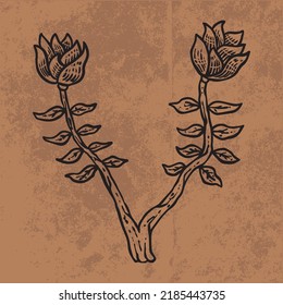 Dibujo gráfico de la línea de flores silvestres del doodle de la hoja botánica. Dibujo de la ilustración del vector dibujado a mano.
Esquema floral vintage. Adecuado para papel de pared, carteles, pegatinas,
medios sociales de contenido

