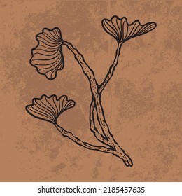 Botanical leaf doodle wildflower line art. Hand drawn vector illustration.
Vintage floral outline. Suitable for wallpaper, posters, stickers,
content social media