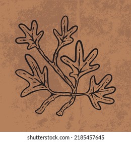 Botanical leaf doodle wildflower line art. Hand drawn vector illustration.
Vintage floral outline. Suitable for wallpaper, posters, stickers,
content social media