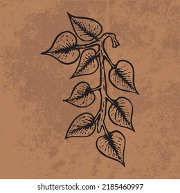 Botanical leaf doodle wildflower line art. Hand drawn vector illustration.
Vintage floral outline. Suitable for wallpaper, posters, stickers,
content social media