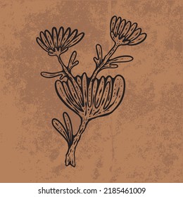 Botanical leaf doodle wildflower line art. Hand drawn vector illustration.
Vintage floral outline. Suitable for wallpaper, posters, stickers,
content social media