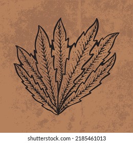 Botanical leaf doodle wildflower line art. Hand drawn vector illustration.
Vintage floral outline. Suitable for wallpaper, posters, stickers,
content social media