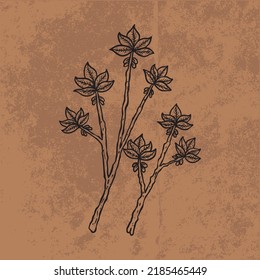 Botanical leaf doodle wildflower line art. Hand drawn vector illustration.
Vintage floral outline. Suitable for wallpaper, posters, stickers,
content social media