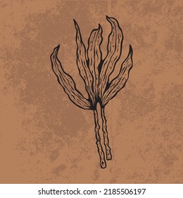 Botanical leaf doodle wildflower line art. Hand drawn vector illustration.
Vintage floral outline. Suitable for wallpaper, posters, stickers,
content social media