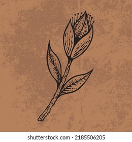 Botanische Blattdoodle-Blumenzeilenkunst. Handgezeichnete Vektorgrafik.
Vintage-Blumenumriss. geeignet für Tapeten, Plakate, Aufkleber,
Social Media
