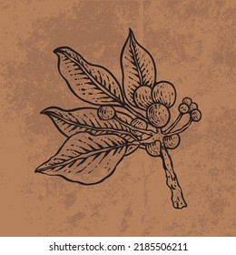 Botanical leaf doodle wildflower line art. Hand drawn vector illustration.
Vintage floral outline. Suitable for wallpaper, posters, stickers,
content social media
