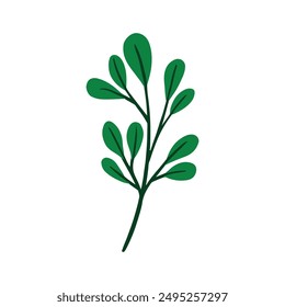 Botanical leaf doodle wildflower line art on a white background.