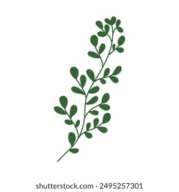 Botanical leaf doodle wildflower line art on a white background.