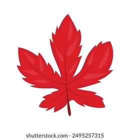 Dibujo de la línea de la flor silvestre de la hoja botánica en un fondo blanco.