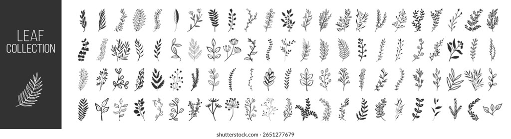 Botanical leaf and floral vector set on transparent background.