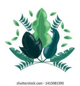 botanical leaf foliage arrangement on white background vector illustration