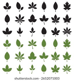 Botanical Leaf Icon Set , preto e verde folhas Vetor Silhuetas Design