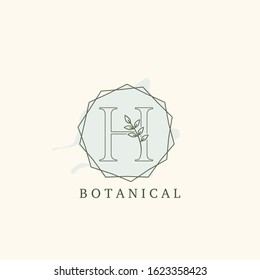 Botanical Leaf Initial H Letter Logo,  vector logo  design concept  hexagon geometric frame with initial letter logo icon for botany or nature business.