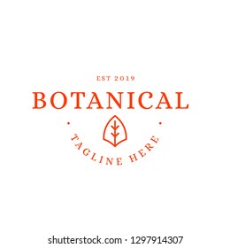 Botanical, Leaf, Natural logo icon design template elements - Vector 