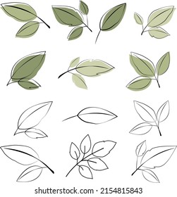 Botanical leaf outline vector icon set 