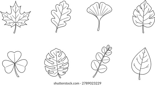 Botanical leaf sketch collection isolated in simple black line art style