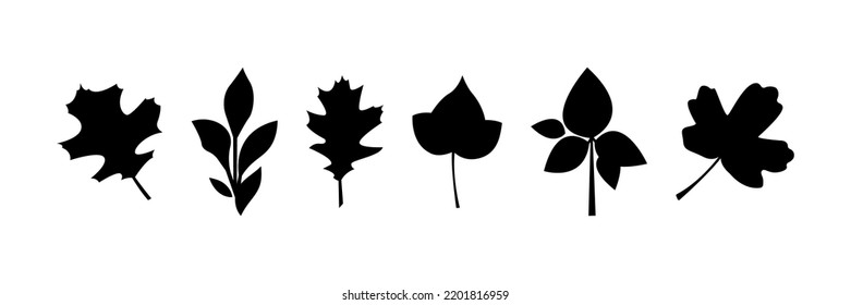 Botanical leaves for design decor. Set of leaves silhouette, herbal elements. Collection of black leaves. Can be used as autumnal decorations for Halloween or Thanksgiving.