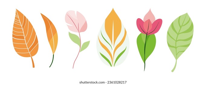 Botanical leaves and flower set, mixed color fall leaf collection. Beautiful foliage plant for home arrangement, romantic floral design. Garden, office, patio decor. Nature, environment illustration