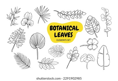 Symbolsatz für botanische Blätter