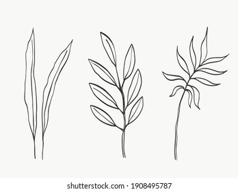 Botanical leaves line art. abstract modern or minimal plants line. perfect for home decor such as posters. vector illustrations design.