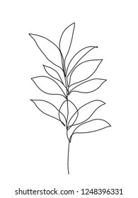 Botanical Leaves. One Line Drawing Art.  Abstract Minimal Plants