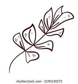 Hojas botánicas. Icono de naturaleza del vector. Ilustración del doodle sobre fondo blanco.