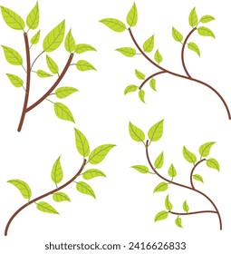 Botanical leaves for wedding frame decoration plants