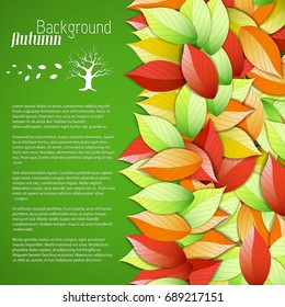 Botanical light autumn poster with text and colorful elegant falling leaves on green background vector illustration