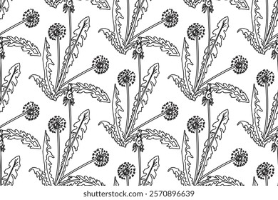 Botanical Line art abstract seamless pattern background with dandelion flowers vector illustration. Black and white repeating floral print. Graphic design for Wallpaper Wrapping Cover Textile Fashion