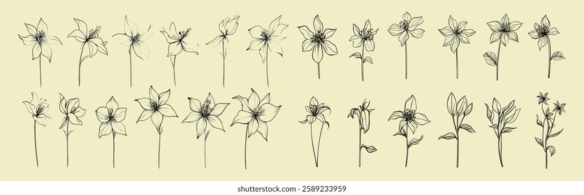 Botanical line art collection with columbine flowers for wedding logos, feminine hand-drawn greenery, floral illustrations for decor, rustic trendy greenery, floral logo art.