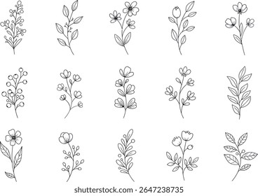 Coleção de arte de linha botânica de galhos florais com bagas e contornos de flor simples em estilo minimalista para projetos criativos