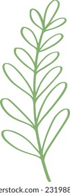 botanical line art design illustration