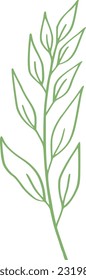 botanical line art design illustration