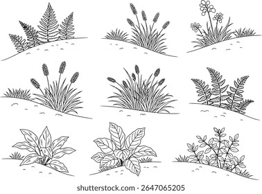 Botanical Line Art of Diverse Plants on Hillsides A Serene Collection Showcasing Ferns Grasses and Leafy Greens in a Minimalist Aesthetic Ideal for Nature Illustrations and Design Elements
