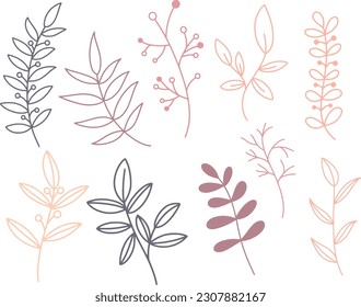 botanical line art elements set