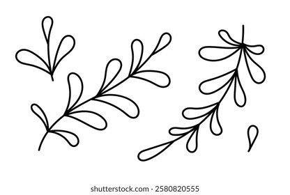Botanical line art featuring various leafy designs in a simple style