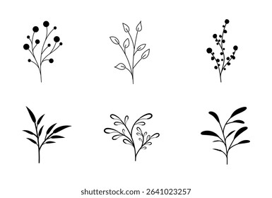 Botanical Line Art floral flower