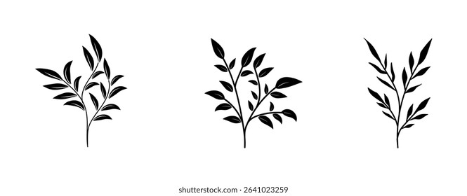 Botanical Line Art floral flower