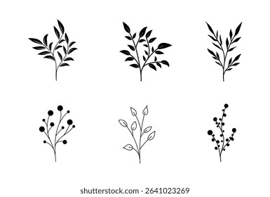 Botanical Line Art floral flower