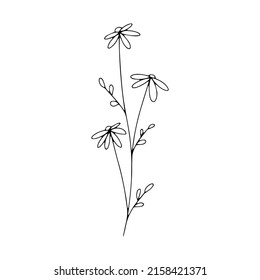 Botanical line art floral leaves, plant. Hand drawn sketch branch isolated on white background. Vector illustration