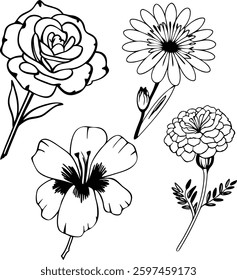 Botanical Line Art, Flowers and Leaves Vector Set