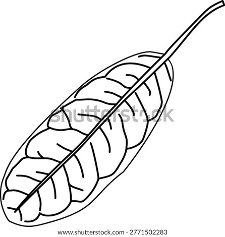 Botanical Line Art of Four Distinct Leaves